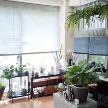 【今週の〇〇】テーマは「植物のある暮らし」！最新の投稿写真をピックアップ