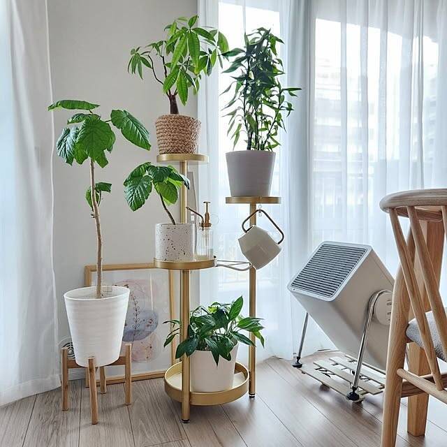 【今週の〇〇】テーマは「植物のある暮らし」！最新の投稿写真をピックアップ