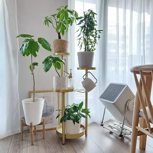 「【今週の〇〇】テーマは「植物のある暮らし」！最新の投稿写真をピックアップ」の画像