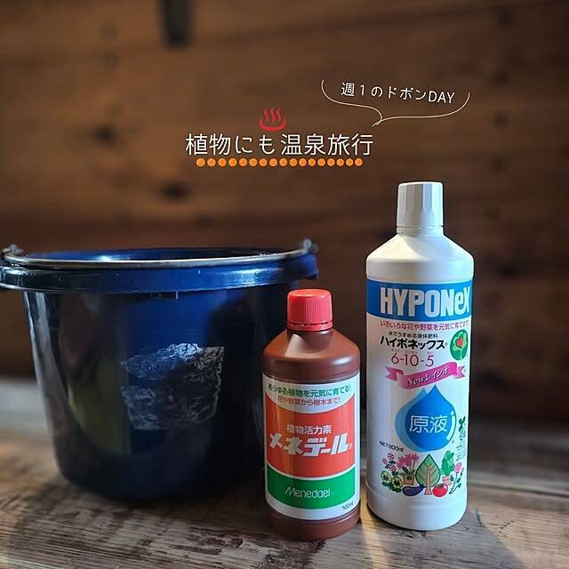 【今週の〇〇】テーマは「植物のある暮らし」！最新の投稿写真をピックアップ