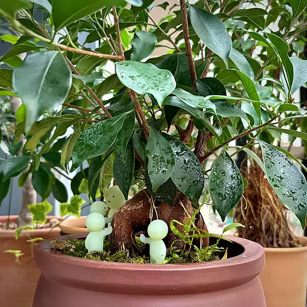 「【今週の〇〇】テーマは「植物のある暮らし」！最新の投稿写真をピックアップ」の画像