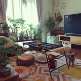 「おうちでキャンプ気分☆アウトドアグッズを取り入れた暮らし」の画像6