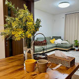 「【今週の〇〇】テーマは「植物のある暮らし」！最新の投稿写真をピックアップ」の画像2