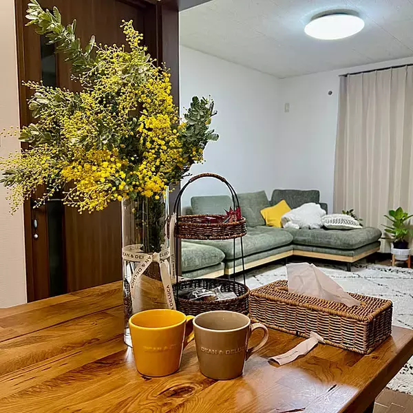 「【今週の〇〇】テーマは「植物のある暮らし」！最新の投稿写真をピックアップ」の画像