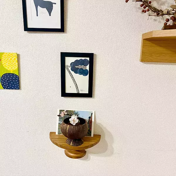 「【今週の〇〇】テーマは「植物のある暮らし」！最新の投稿写真をピックアップ」の画像