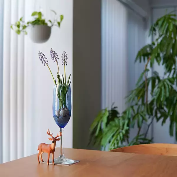 「【今週の〇〇】テーマは「植物のある暮らし」！最新の投稿写真をピックアップ」の画像