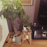 「家じゅうどこでも大活躍☆IKEAのスツールの使い方を場所別にご紹介」の画像7