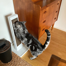 【みんなが選んだ！】機能性もインテリア性もバツグン♪「towerのペットアイテム」4選