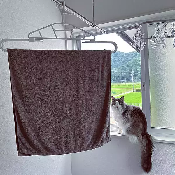 毎日の洗濯がスムーズになる♪バスタオルの干し方を工夫している実例10選