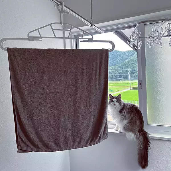 「毎日の洗濯がスムーズになる♪バスタオルの干し方を工夫している実例10選」の画像