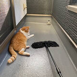 「汚れがたまっても大丈夫！ユーザーさんたちが実践しているベランダ掃除のやり方」の画像5