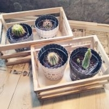 捨てる前におうちでリサイクル！新たな使い道が見つかるペットボトルの再利用方法