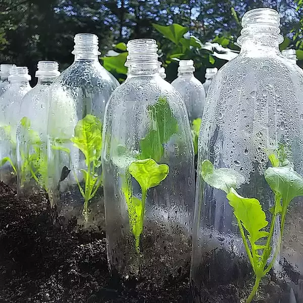 「捨てる前におうちでリサイクル！新たな使い道が見つかるペットボトルの再利用方法」の画像