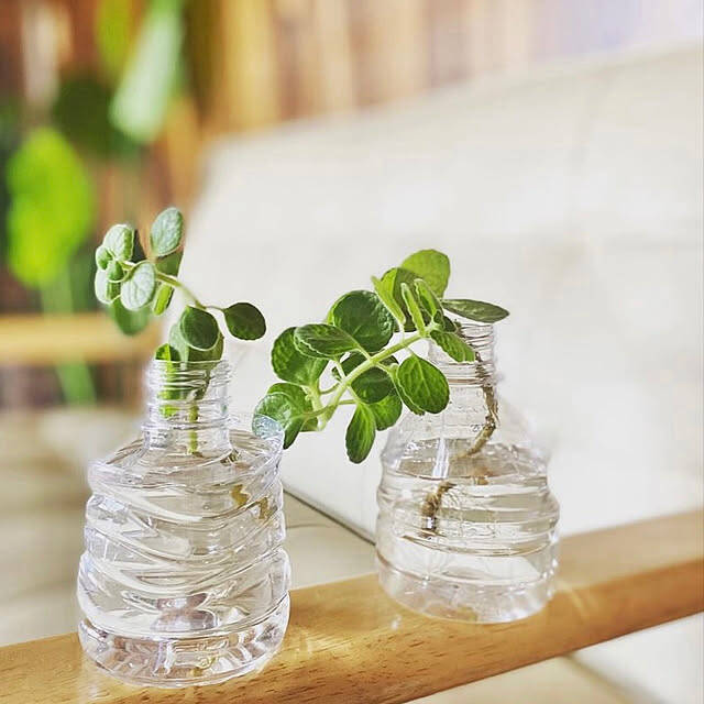 捨てる前におうちでリサイクル！新たな使い道が見つかるペットボトルの再利用方法