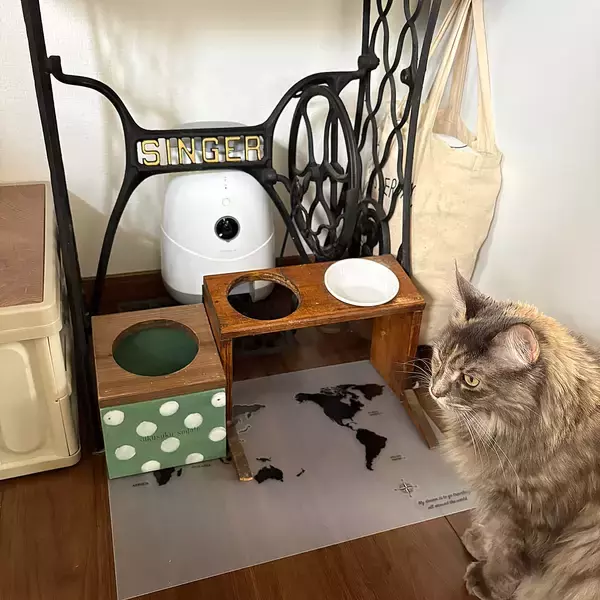 「好きな柄で楽しむ♪猫のごはん皿用ランチョンマット」 by mayumiさん