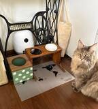 「「好きな柄で楽しむ♪猫のごはん皿用ランチョンマット」 by mayumiさん」の画像4