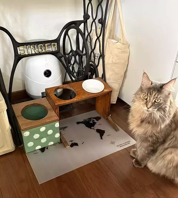 「「好きな柄で楽しむ♪猫のごはん皿用ランチョンマット」 by mayumiさん」の画像