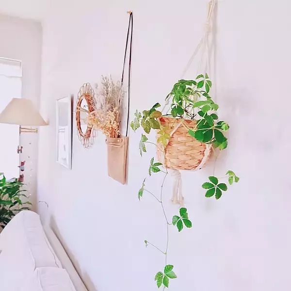 「視線の先にグリーンをプラス♪暮らしの中で癒しを感じる観葉植物の置き方をご紹介」の画像