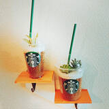 「大好きなスターバックスデザインをおうちで楽しむ♡アイデアと方法」の画像2