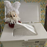 「タイプや置き場所に合わせて選ぶ！セリアの「マスク収納」6選」の画像2