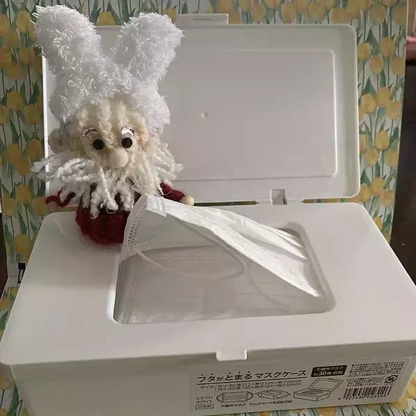 「タイプや置き場所に合わせて選ぶ！セリアの「マスク収納」6選」の画像