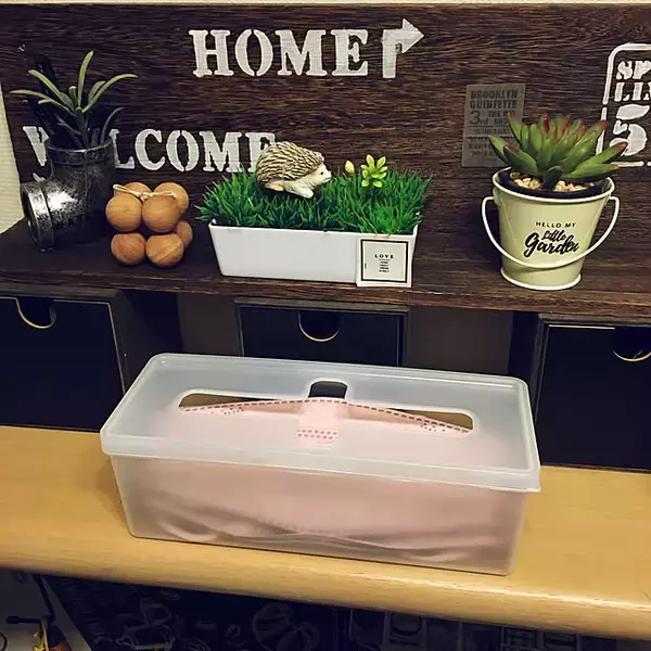 「タイプや置き場所に合わせて選ぶ！セリアの「マスク収納」6選」の画像