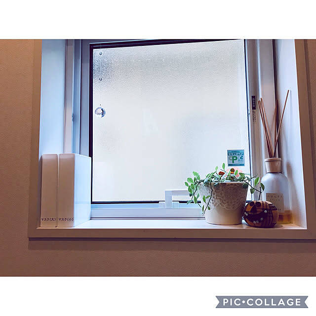 タイプや置き場所に合わせて選ぶ！セリアの「マスク収納」6選