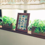 「セリアのカットクロスで作れる♪身近な材料で楽しむ手軽なアレンジアイデア」の画像2