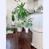 「ごみ箱だってこだわりたい！ニトリで選ぶおすすめのごみ箱」の画像9