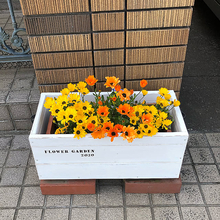 植物をより魅力的に見せる♪屋内＆屋外のプランターカバーDIYアイデア