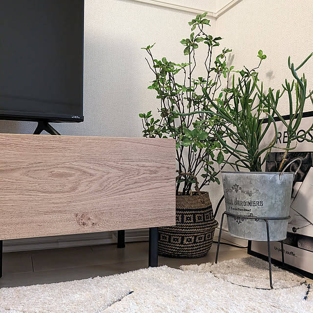 棚の中からテレビの裏側まで活躍♪テレビ周りをスッキリ収納させてくれるダイソーのアイテム