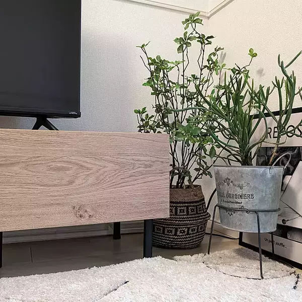 「棚の中からテレビの裏側まで活躍♪テレビ周りをスッキリ収納させてくれるダイソーのアイテム」の画像