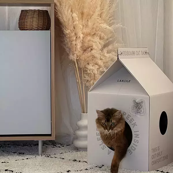 「プチプラで叶う洗練インテリア！キッチン雑貨からペットグッズまで、LAKOLEの注目インテリアグッズ6選」の画像