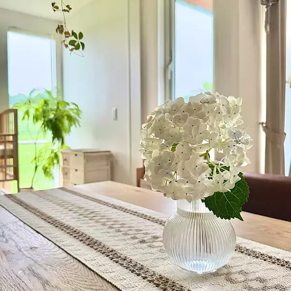 「【今週の〇〇】テーマは「植物のある暮らし」！最新の投稿写真をピックアップ」の画像