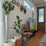 「【今週の〇〇】テーマは「植物のある暮らし」！最新の投稿写真をピックアップ」の画像6
