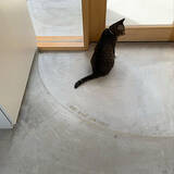 「「おだやかにさらりと洗練した、モルタル床の小さな家」 by tnoieさん」の画像2