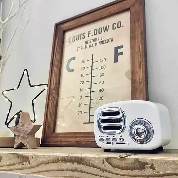 「音楽が流れる暮らしを手軽にかなえられる♪デザインや機能も豊富なダイソーのBluetoothスピーカー」の画像