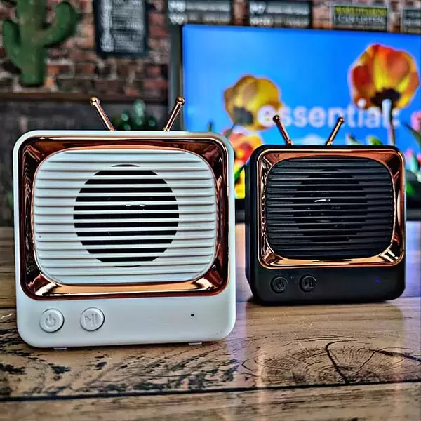 「音楽が流れる暮らしを手軽にかなえられる♪デザインや機能も豊富なダイソーのBluetoothスピーカー」の画像