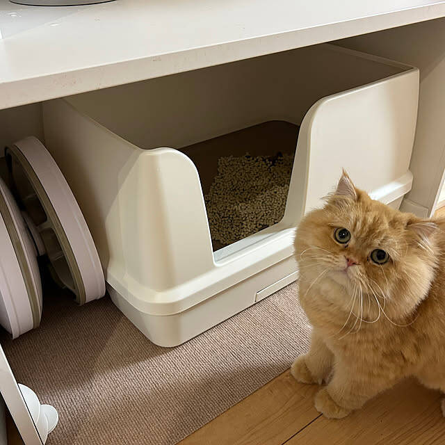 飾ったり座ったりお家中で使える♪IKEAのベンチを取り入れた暮らしの実例をご紹介