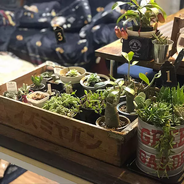 「艶のある質感に仕上げて！DIYでニス塗りに挑戦している実例10選」の画像