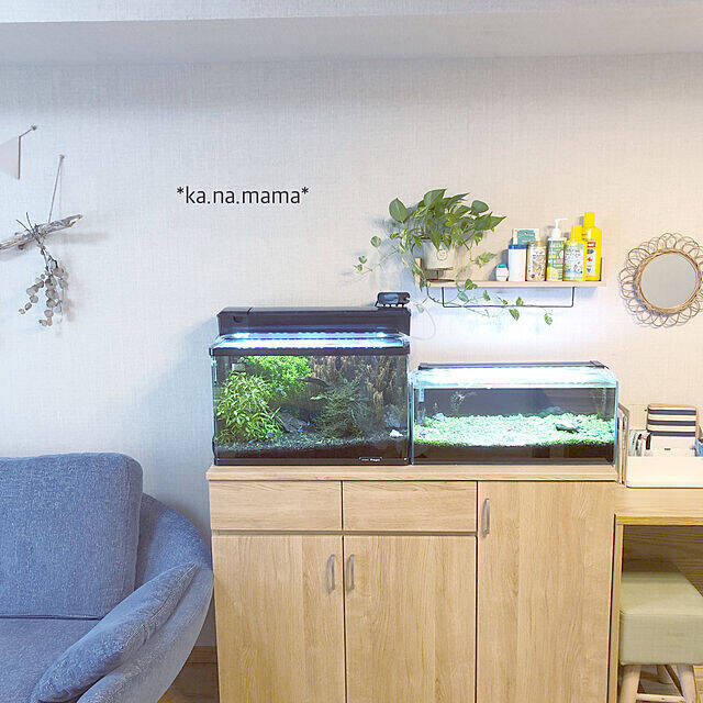 一時置きにも定位置にも 家中で使えるニトリのウォールシェルフ 22年2月3日 エキサイトニュース 一時置きにも定位置にも 家中で使えるニトリのウォールシェルフ 22年2月3日 エキサイトニュース