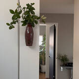 「【今週の〇〇】テーマは「植物のある暮らし」！最新の投稿写真をピックアップ」の画像3