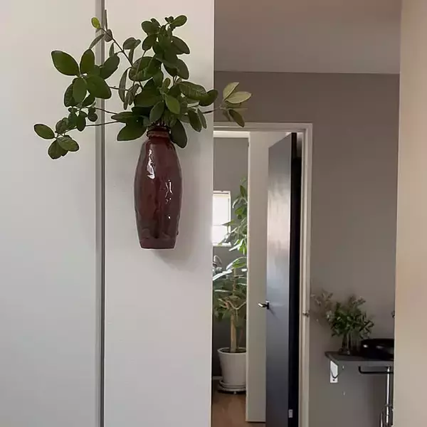 「【今週の〇〇】テーマは「植物のある暮らし」！最新の投稿写真をピックアップ」の画像