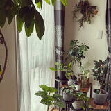 「【今週の〇〇】テーマは「植物のある暮らし」！最新の投稿写真をピックアップ」の画像4