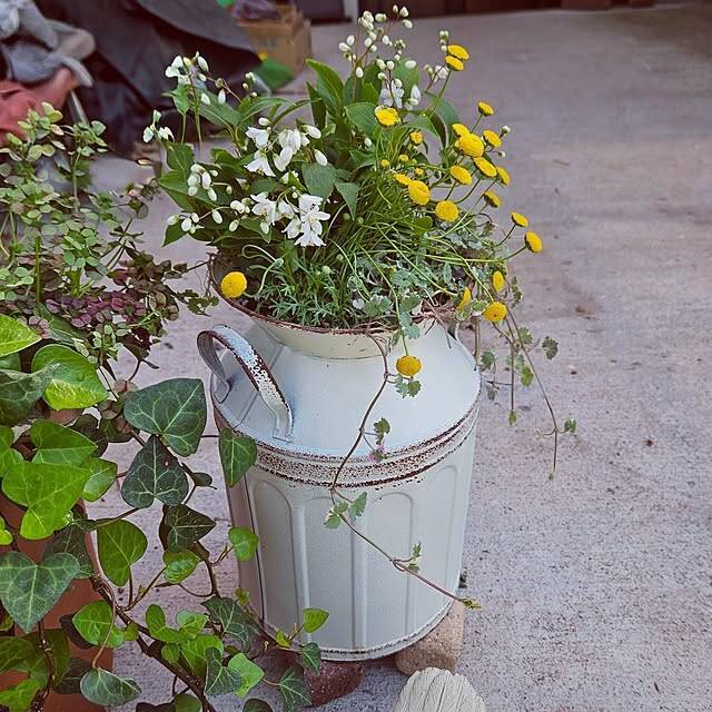 【今週の〇〇】テーマは「植物のある暮らし」！最新の投稿写真をピックアップ