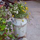 「【今週の〇〇】テーマは「植物のある暮らし」！最新の投稿写真をピックアップ」の画像5