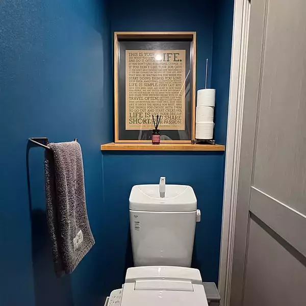 「収納も掃除も香りもプチプラで整う♪ダイソーで見つけたトイレにあると便利なアイテム10選」の画像