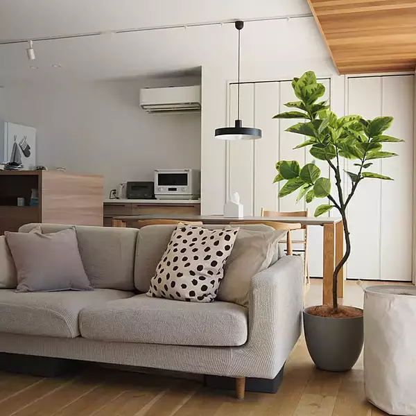 「居心地のいいお部屋づくりに♪カーテン・ラグ・家具まで、ベルメゾンのおすすめアイテム6選」の画像