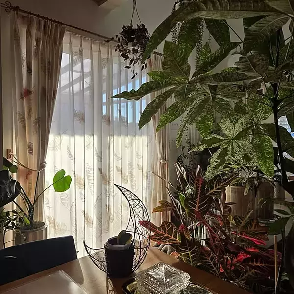 「いつまでも過ごしていたくなる空間を。居心地のいいお部屋作りのポイント」の画像