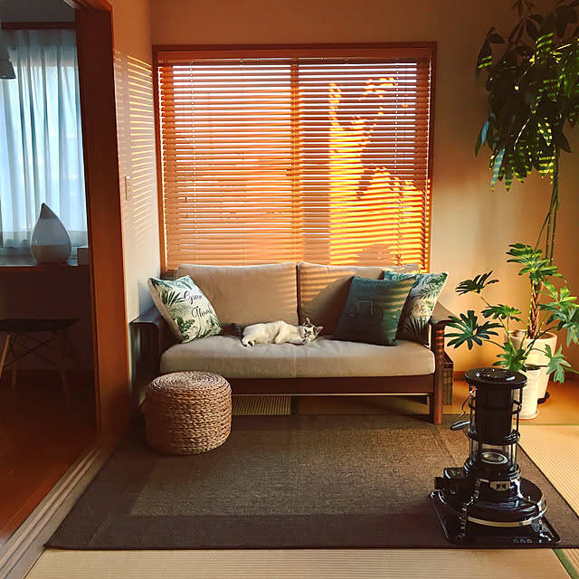 レトロもモダンも思いのまま。こだわりが光る畳のお部屋のコーディネート